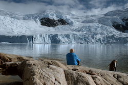 Antarctica: Ice and Sky(La glace et le ciel) byLuc Jacquet, 2015